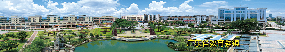 �㶫ʡ����ǿ��