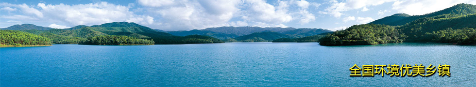 ȫ��������������