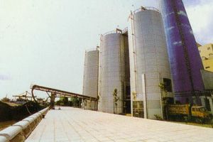 ���й̷��ۺ�����