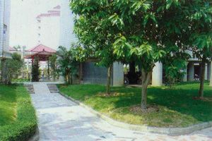 ��������С��