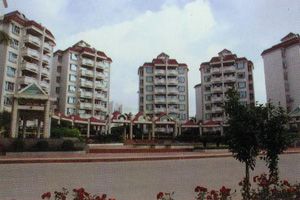 ��������С��